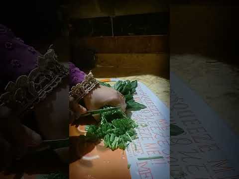 تفريزات أسبوعيا سهله ـ سريعه ـ بسله ـ سبانخ ـ خضره ـ شبت ـ باذنجان ـ كوسه