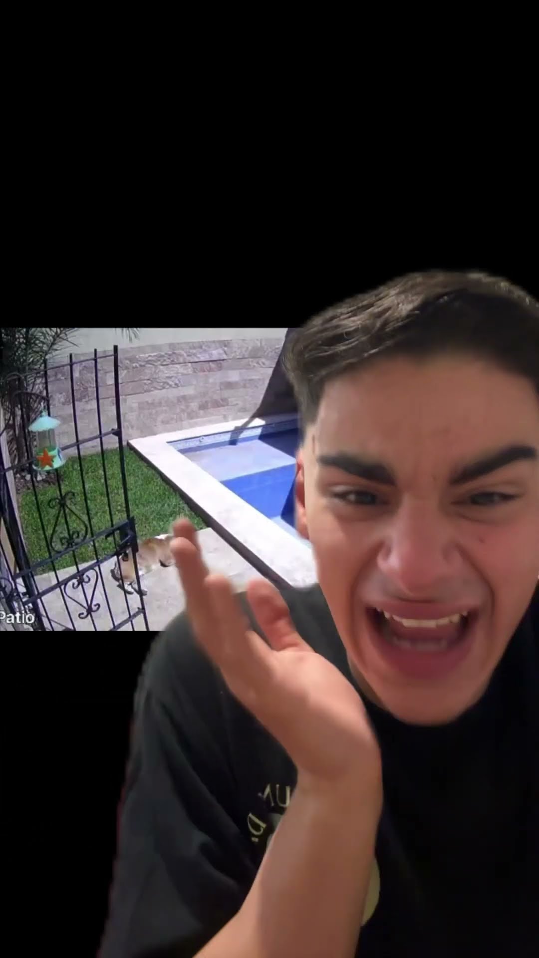 ESPÍANDO A MI PERRO POR LAS CAMARAS DE SEGURIDAD??