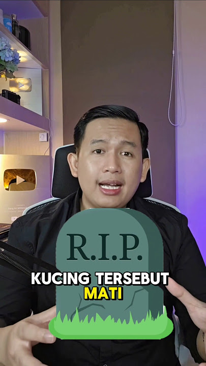 The Moment This Man's Beloved Cat Died in His Lap