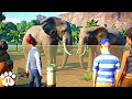 Can't Educate Guests in Planet Zoo? Watch this!