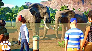 Can't Educate Guests in Planet Zoo? Watch this!