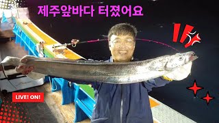 ☆LIVE☆제주앞바다 터졌다♡ #갈치낚시 #제주갈치TV