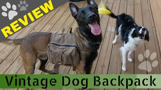 OneTigris Cotton Canvas Dog Pack for Hiking and Camping REVIEW (Doggy Backpack)