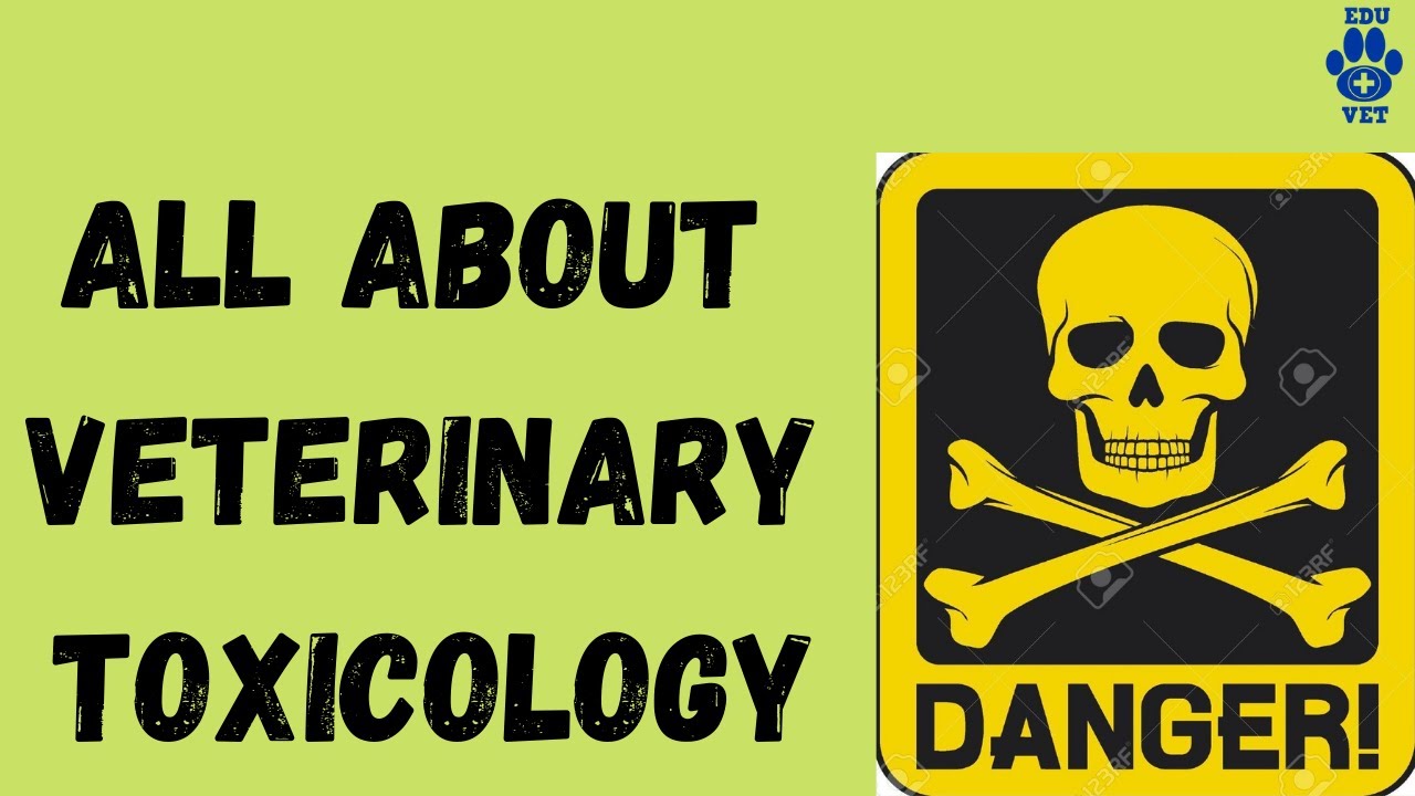 All About Veterinary Toxicology Course YouTube