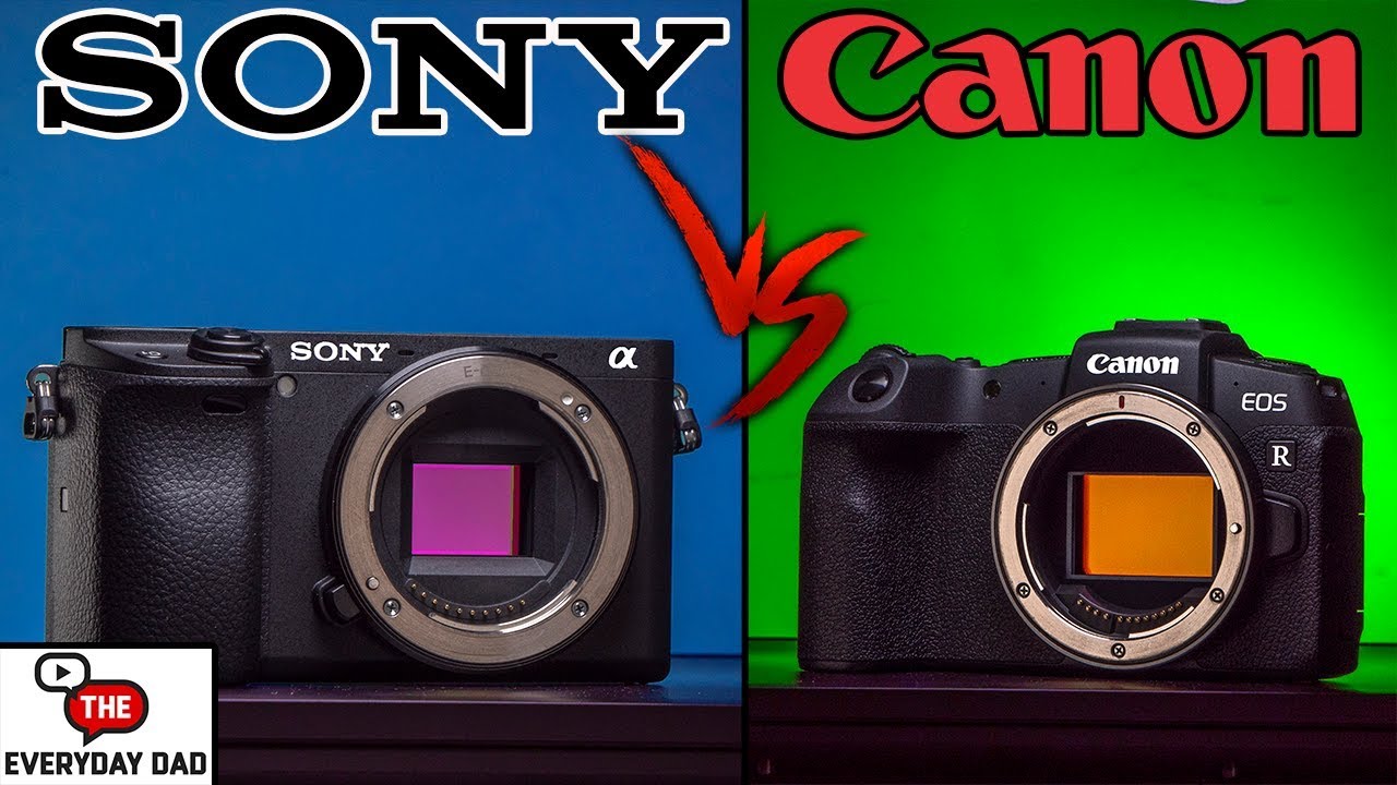 Sony canon сравнение. Sony EOS. Canon vs Sony.