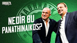 Fati̇h Teri̇m Ve Ergi̇n Atamani Neden Aldilar? Panathinaikos Tarihi Kerem Övet Ve Ali Murat Hamarat