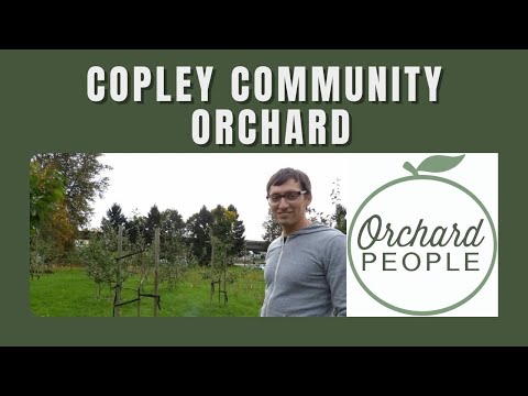 Fruit Trees, Orchard Drainage and Copley Community Orchard