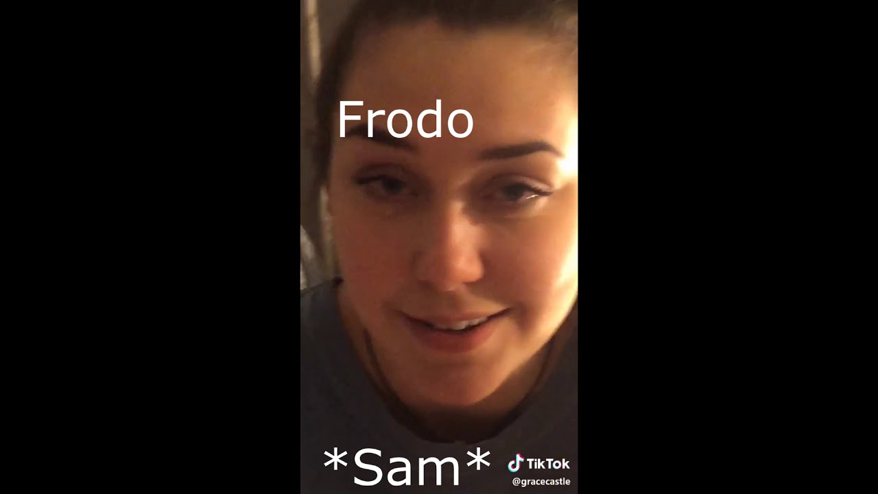 LOTR as tiktoks (Fellowship edition)