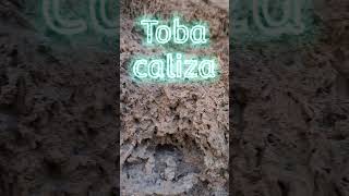 La toba. Piedra &quot;hecha de seres vivos&quot;