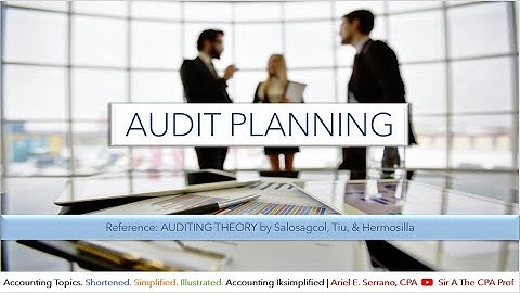 Audit Planning | Understanding the Entity and its Environment | Hermosilla, Tiu, Salosagcol