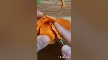 Cách tỉa hoa cà rốt #shorts