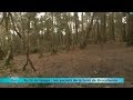 Reportage région : direction la forêt de Brocéliande