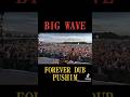 【BIG WAVE - FOREVER DUB / PUSHIM】 #reggae #レゲエ #hiphop #ジャパレゲ #emperor
