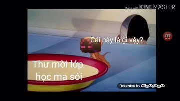 Jaki vs Mr. Cà rốt