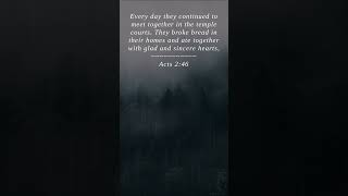 Bible | Acts 2:46 | Every day they continued to me...