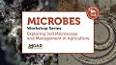 The Hidden World of Microbes and Their Role in Our Health ile ilgili video