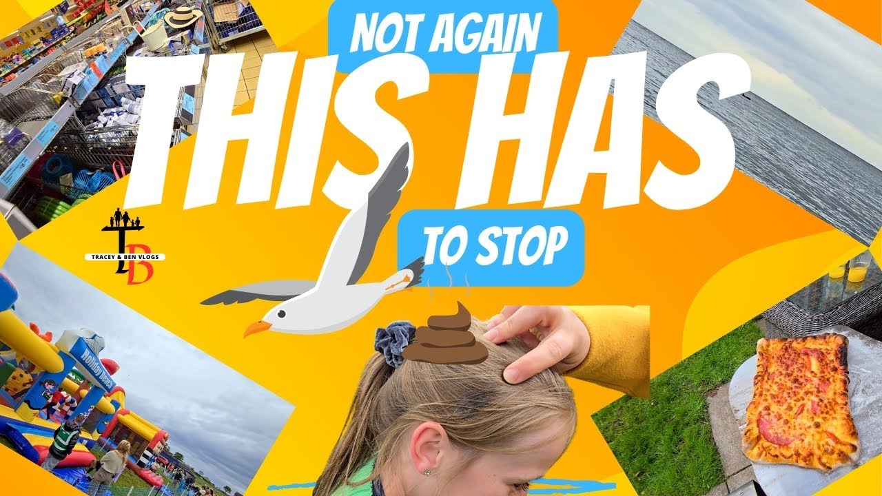 Was it a shark, was it a Whale, no it was a Dolphin.........