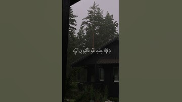 القارئ : اسلام صبحي سورة : القصص #اسلام_صبحي #أرح_سمعك_وقلبك #قرآن #اكسبلور