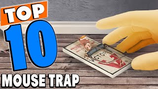 Top 10 Best Mouse Traps Review in 2024