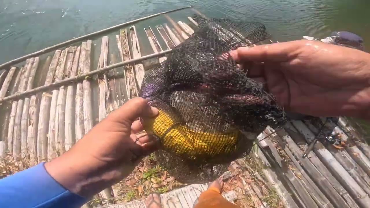 Another Bass Fishing in lumot lake cavinti laguna..
