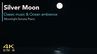 Silver moon 🌙 💤 | Classic music & Ocean | Moonlight Sonata Piano, relax, sleep, study 4k video