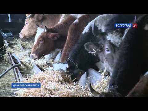 Как открыть ферму