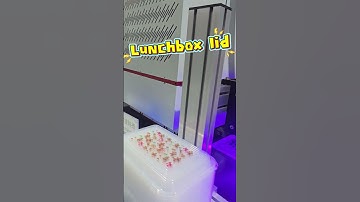 CSJ ONE PASS inkjet printer for lunch box printing.#csj #cmykprinting #digitalprinter #lunchboxes