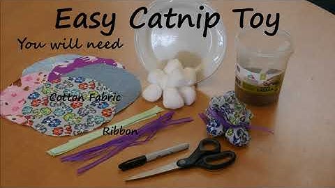 How to Make Catnip Toys - Easy!