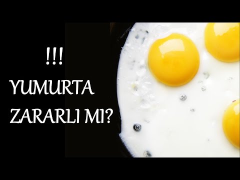 Yumurta Zararlı Mı?