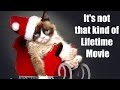 31+ Based Cartoon Grumpy Cat Meme