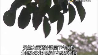 20150806 公視手語新聞 蘇迪勒減弱為中颱 週五恐再增強