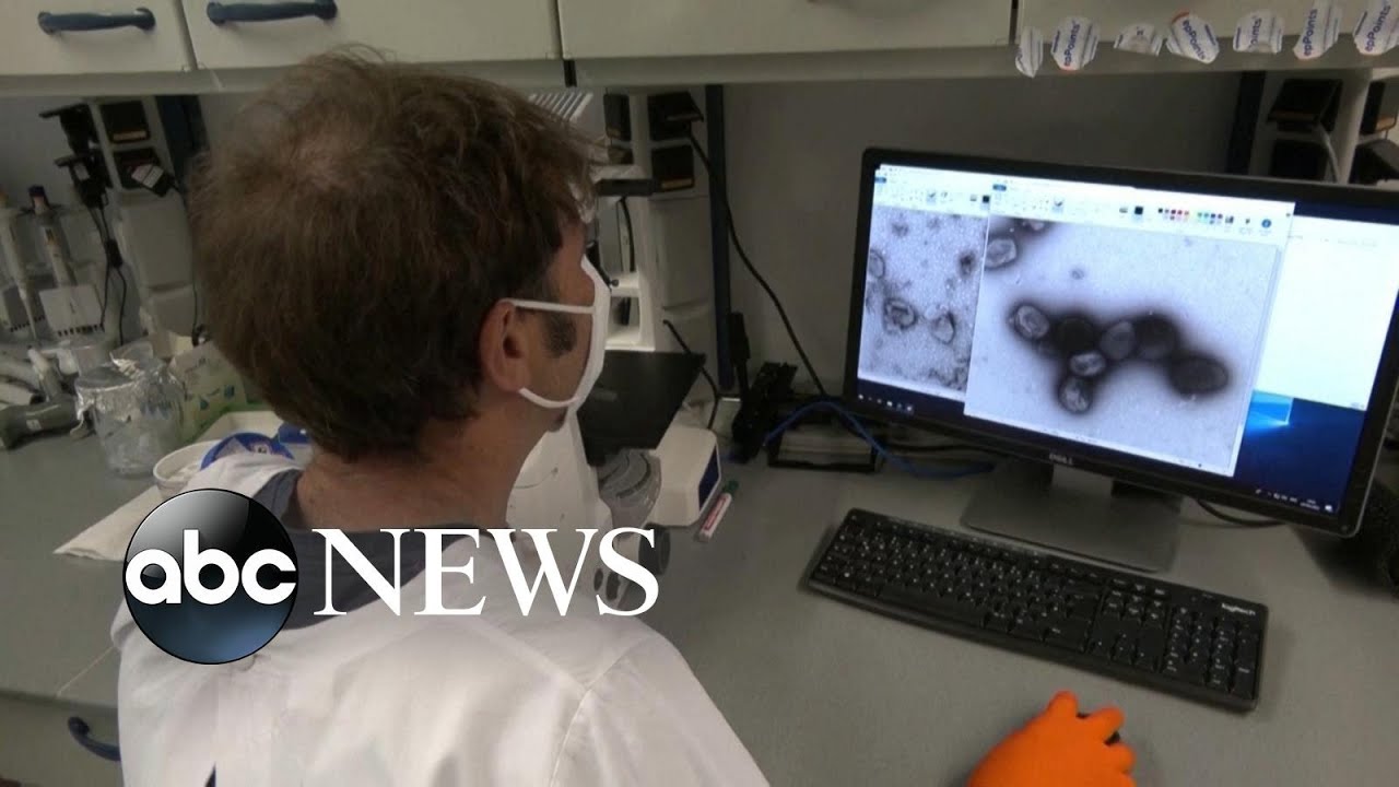 WHO declares monkeypox a ‘public health emergency’ | WNT