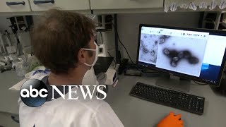 WHO declares monkeypox a ‘public health emergency’ | WNT