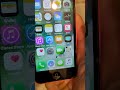I Switched to the iPhone 5C