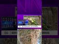 Ser Fantástico: Las Cotorras