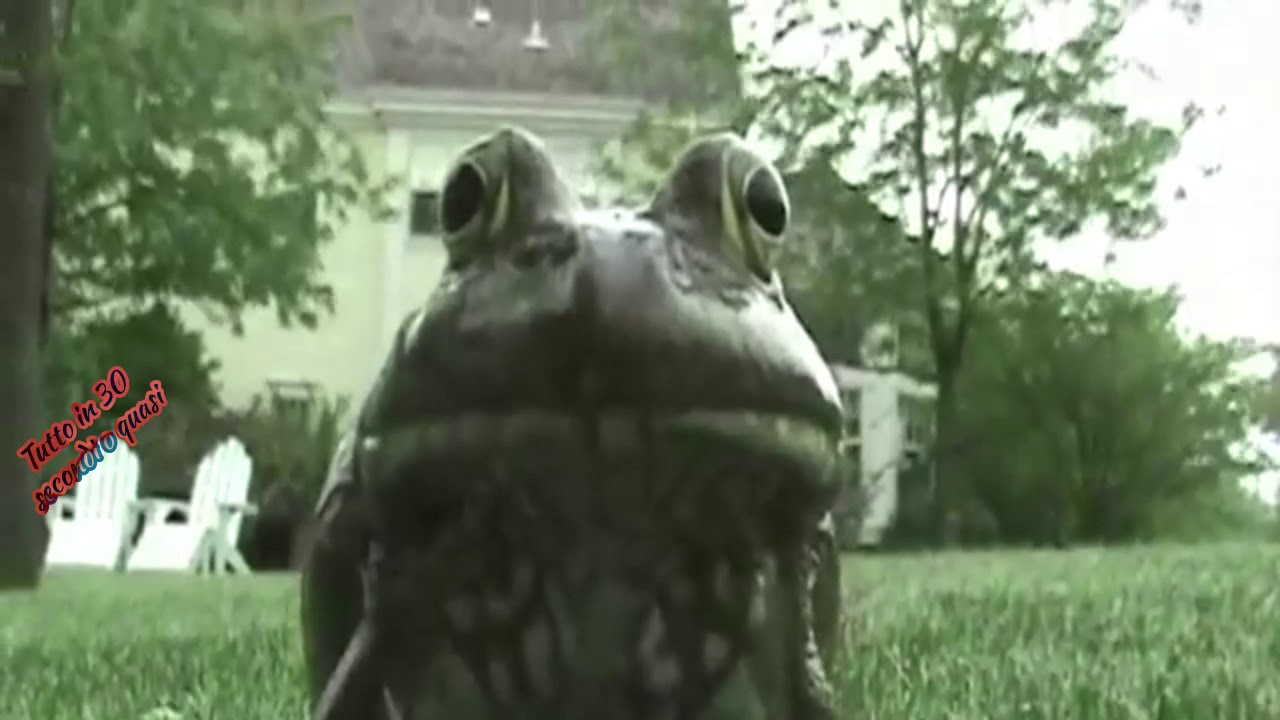 Il verso della rana incazzata - YouTube
