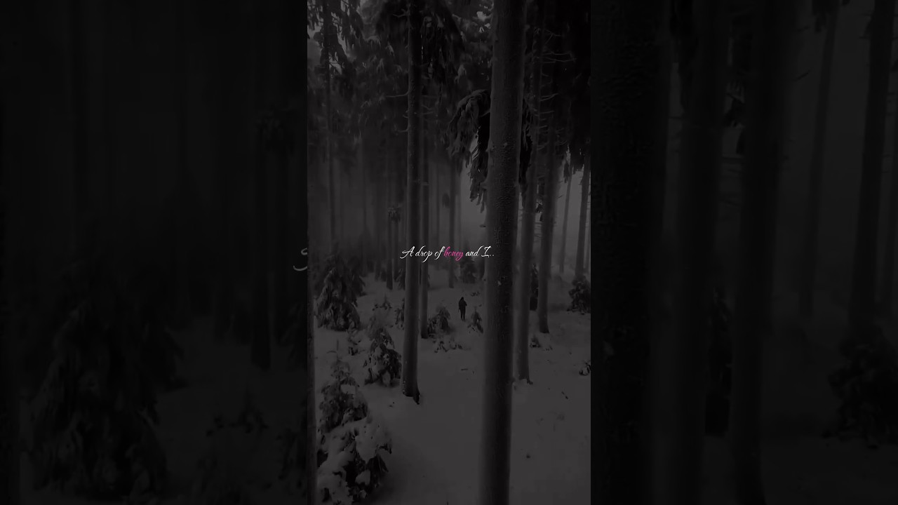 Derniere // Dance // what's app status // lyrics // 