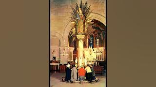 Fr Hewko, St. Anne, Mother of BVM 7/26/25 [Audio]