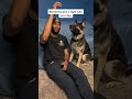 DOGS WITH ATTITUDE ЁЯШВЁЯШВЁЯШВ DOGS WITH ATTITUDE ЁЯШВЁЯШВЁЯШВ