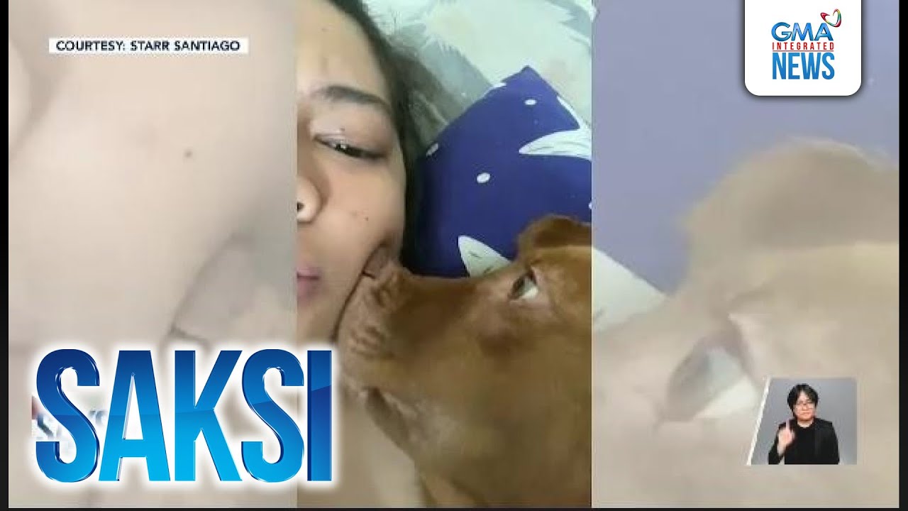 Alagang aso, sobra kung makadikit ng nguso sa pisngi ng amo | Saksi