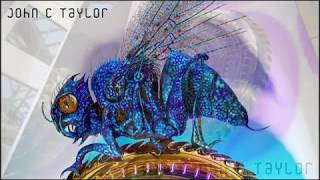 Dr John C Taylor OBE Interview on BBC Radio Cambridgeshire - Midsummer Chronophage Clock