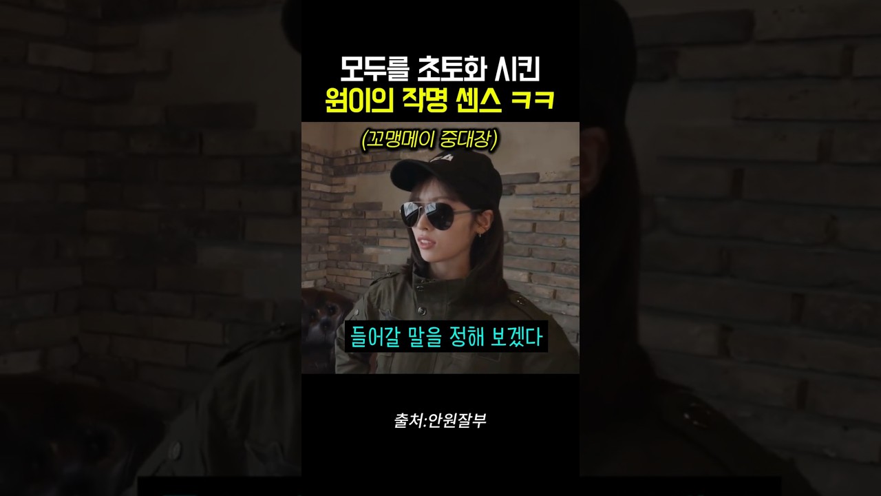 모두를 초토화 시킨 원이의 작명 센스 ㅋㅋ