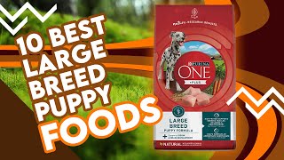 10 Best Large Breed Puppy Foods