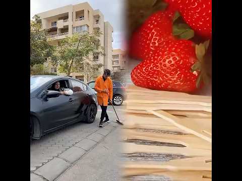 ست مليونيره تفعل شئ غريب مع عامل نظافه والسبب