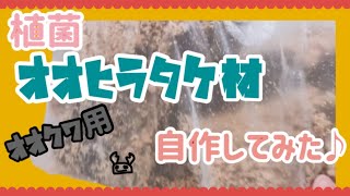 カワラ材ならぬ【オオヒラタケ材】オオクワ産卵用に自作‼︎