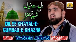 Naat Sharif 2020 - Dil Se Khayal-E-Gumbad-E-Khazra - Alhaaj Waseem Abbasi Naqshbandi - Rwds