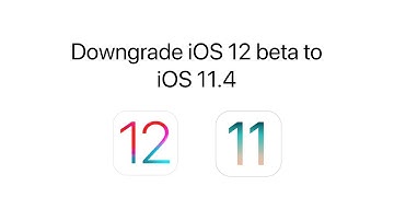 How to Downgrade iOS 12 beta to iOS 11.4.1