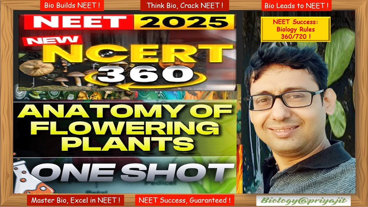 NEET 2025 Biology | Anatomy of Flowering Plants (Full Chapter) | NCERT 360° | biology@priyajit