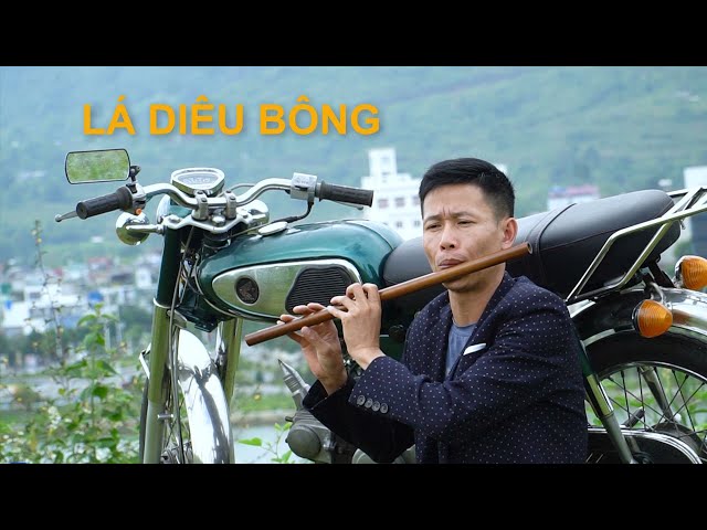 LÁ DIÊU BÔNG - TRUNG SÁO - HÒA TẤU SÁO TRÚC GUITAR - BẢN NHẠC KHÔNG LỜI ĐƯỢM BUỒN class=