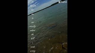 Went wrong #foryou #dixie #relatable #lake #water #wrong #see #capcut #lyrics #hell #trend #blue